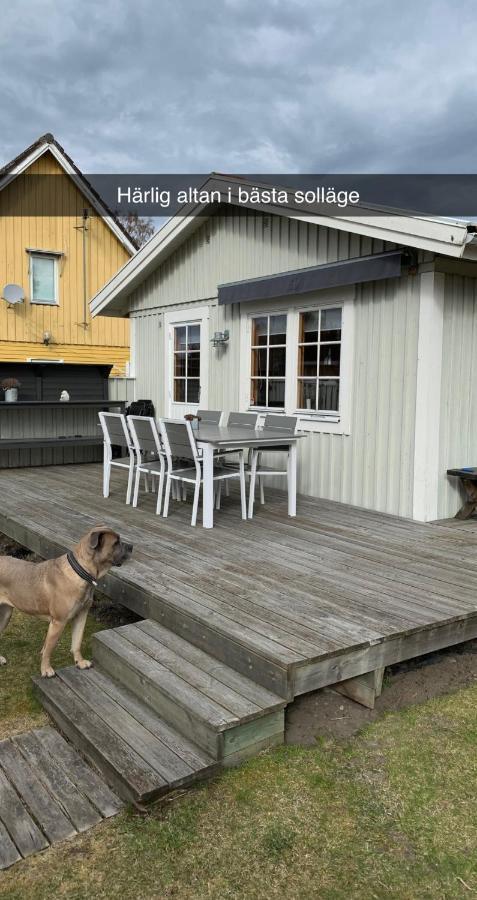 Villa Sus & Dus Yngsjö Екстериор снимка