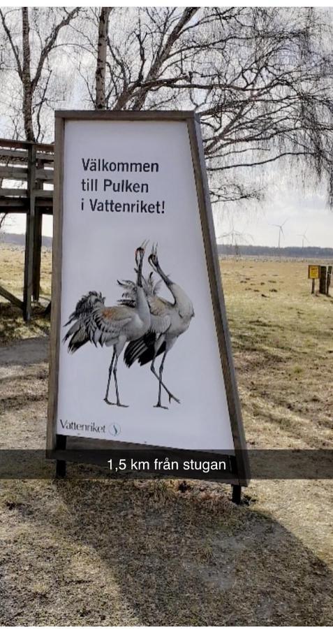 Villa Sus & Dus Yngsjö Екстериор снимка